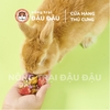 Trái Cây Rau Củ Sấy Lạnh Yee Cho Thỏ Ăn Vặt Cho Thỏ Giàu VItamim Hộp 55g