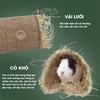 Ống Chui Cho Bọ Ú, Thỏ, Hamster Đường Hầm Chui Trú Ẩn