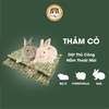Thảm Cỏ Cho Thỏ, Bọ Ú, Chinchilla Dệt Thủ Công