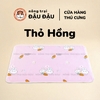 Thảm Tã Thấm Hút Lót Chuồng Cho Thỏ, Bọ Ú (Chuột Lang) Pee Pads