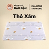 Thảm Tã Thấm Hút Lót Chuồng Cho Thỏ, Bọ Ú (Chuột Lang) Pee Pads