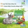 Bánh Cỏ Timothy MrHay Bổ Sung 10 Loại Trái Cây Rau Củ 800g MH42