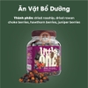 Thức Ăn Vặt Little One Berry Mix Cho Thỏ, Bọ Ú, Chinchilla Bổ Dưỡng 200g