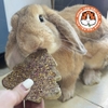 Bánh Cỏ Mài Răng Mix Hoa Cho Bọ Ú, Thỏ, Chinchilla