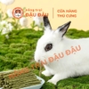 Bánh Cỏ Yee Cho Thỏ, Bọ Ú, Chinchilla, Hamster Thành Phần Từ 7 Loại Cỏ Giàu Chất Xơ