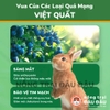 Cỏ Nén Cho Thỏ Mr.Hay Bổ Sung Quả Mọng 800g