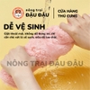 Đệm Bông Yee
