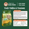 Cỏ Nén MrHay Thảo Mộc