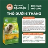 Cỏ Nén MrHay Thảo Mộc