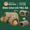 Ống Chui Cỏ Yee