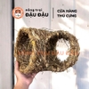 Ống Chui Cỏ Yee