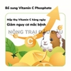 Cỏ Nén IZ06 Cho Bọ Ú