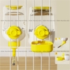Bình Nước Thỏ, Bọ Ú, Chinchilla, Chó, Mèo Cao Cấp Bình Nước Gắn Chuồng 900ml