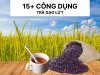 Hé Lộ 15+ Công Dụng Vàng Của Trà Gạo Lứt Đối Với Sức Khỏe Toàn Diện Hé Lộ 15+ Công Dụng Vàng Của Trà Gạo Lứt Đối Với Sức Khỏe Toàn Diện