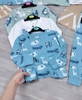 Set 3 bộ Next cotton dài tay animals cho bé trai