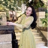 Đầm Voan Hoa Ánh Kim Cao Cấp Tay Dài, Thanh Lịch.  A-0116. Women Dress