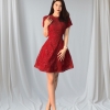Đầm Ngắn Voan Tơ Lưới Đỏ Sang Trọng (Kèm Tag), A-0152 Dress Women Voi Kem