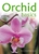 Orchid Basics by Brian Rittershausen - Bookworm Hanoi