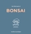 The Little Book of Bonsai by Matthew Puntigam - Bookworm Hanoi