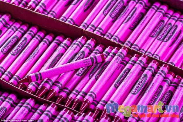 Khám phá nhà máy sản xuất bút màu Crayola đầy màu sắc - Hoàn thành cây bút chì màu sau khi dán nhãn và chuẩn bị đóng hộp