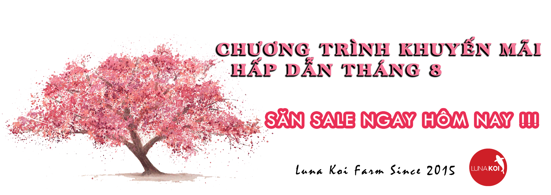 Chương trình khuyến mãi hấp dẫn tháng 8