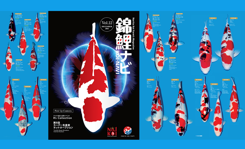 Tạp chí Navi Koi Volume 12 chính thức được phát hành
