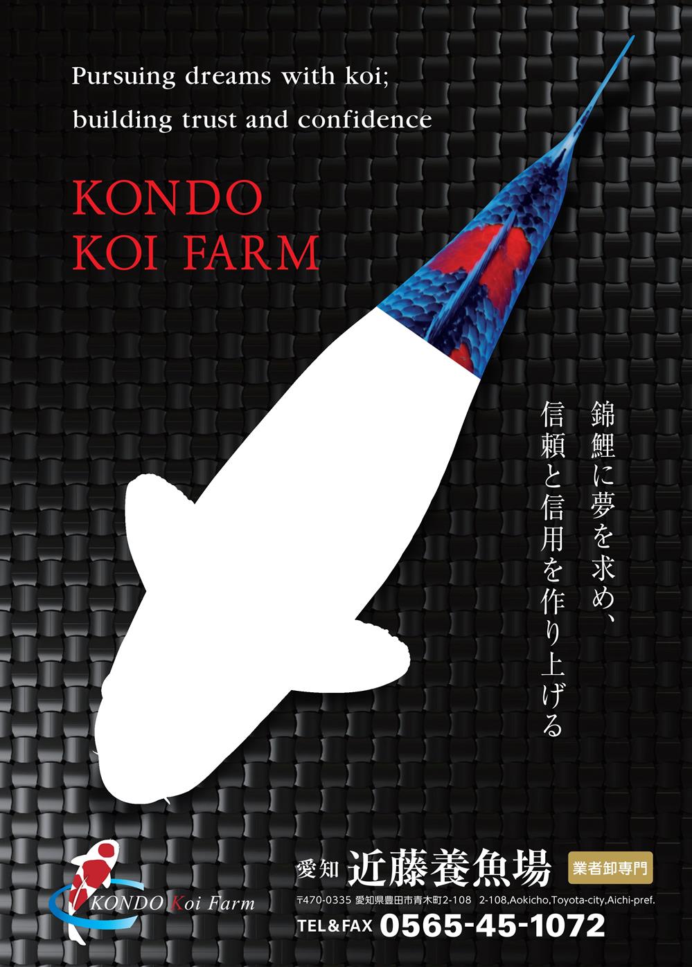 Navi Koi 12