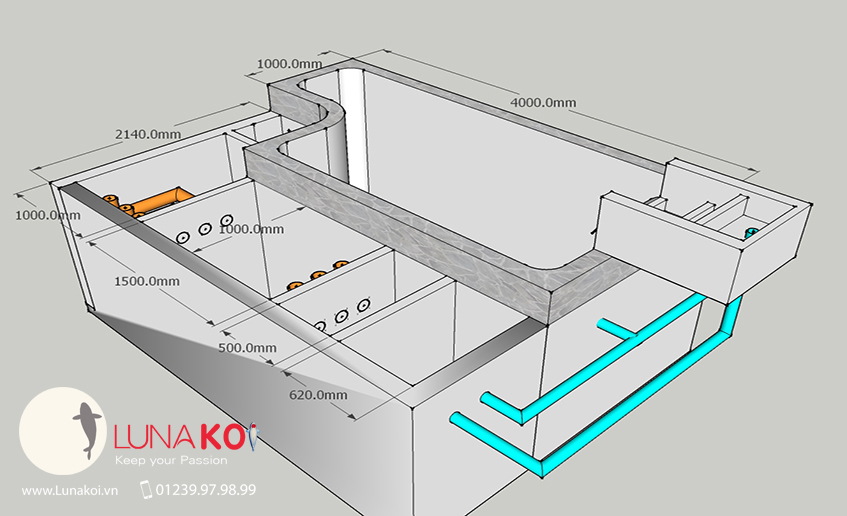 Thiết Kế 3D Hồ Cá Koi