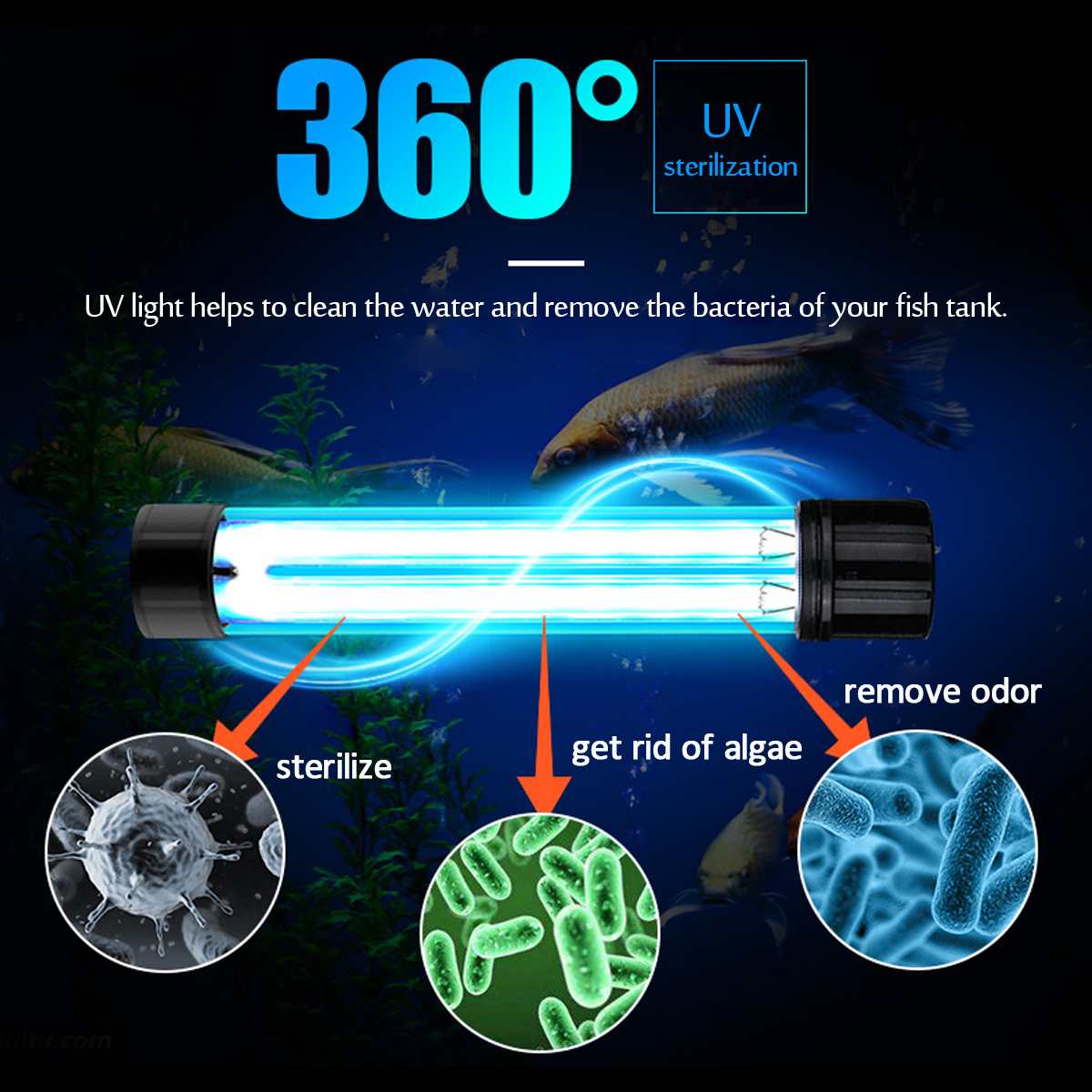 đèn UV diệt tảo hồ cá koi