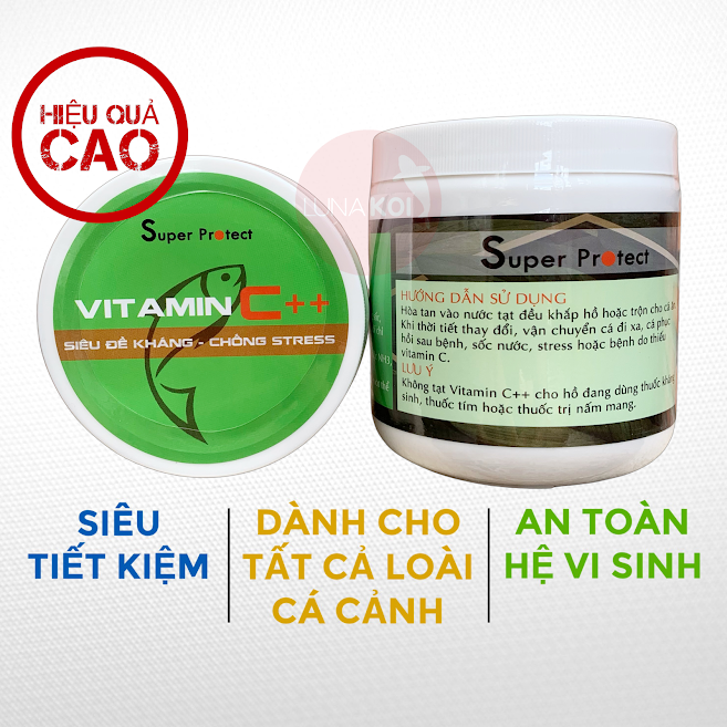 vitamin C tăng đề kháng chống stress cho cá koi