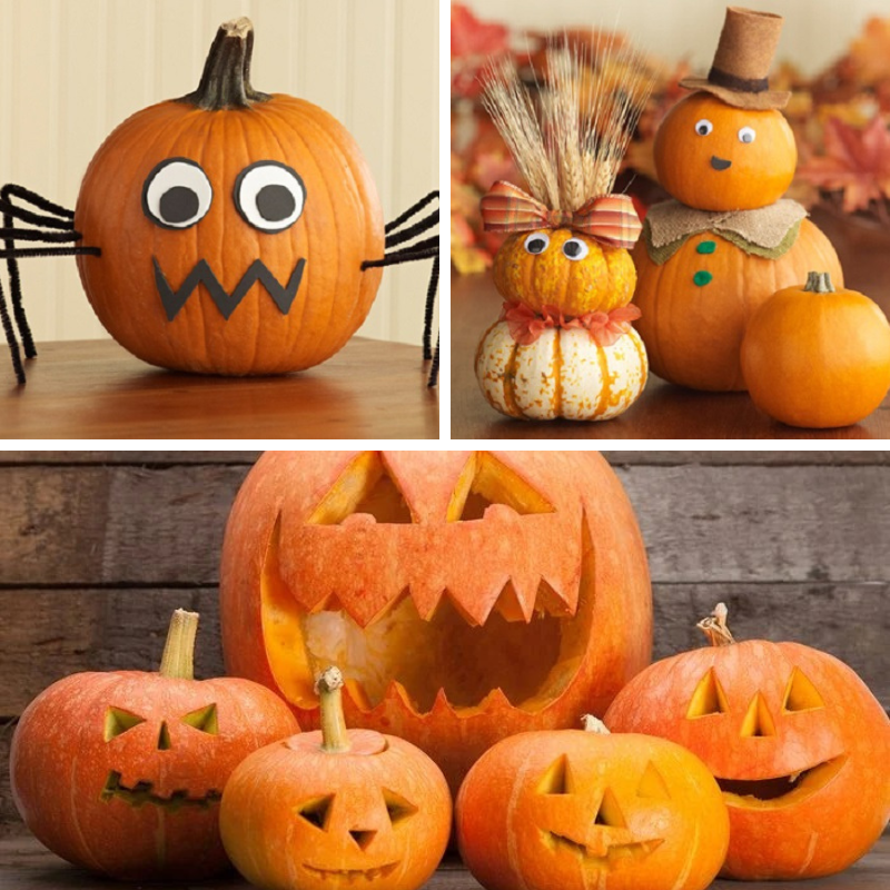 Bí ngô Halloween có gì HOT khiến dân tình đổ xô đi mua như vậy?