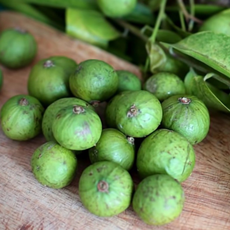 [Bạn đã biết] Cách bảo quản sấu tươi ngon dùng cả năm vẫn nguyên hương vị