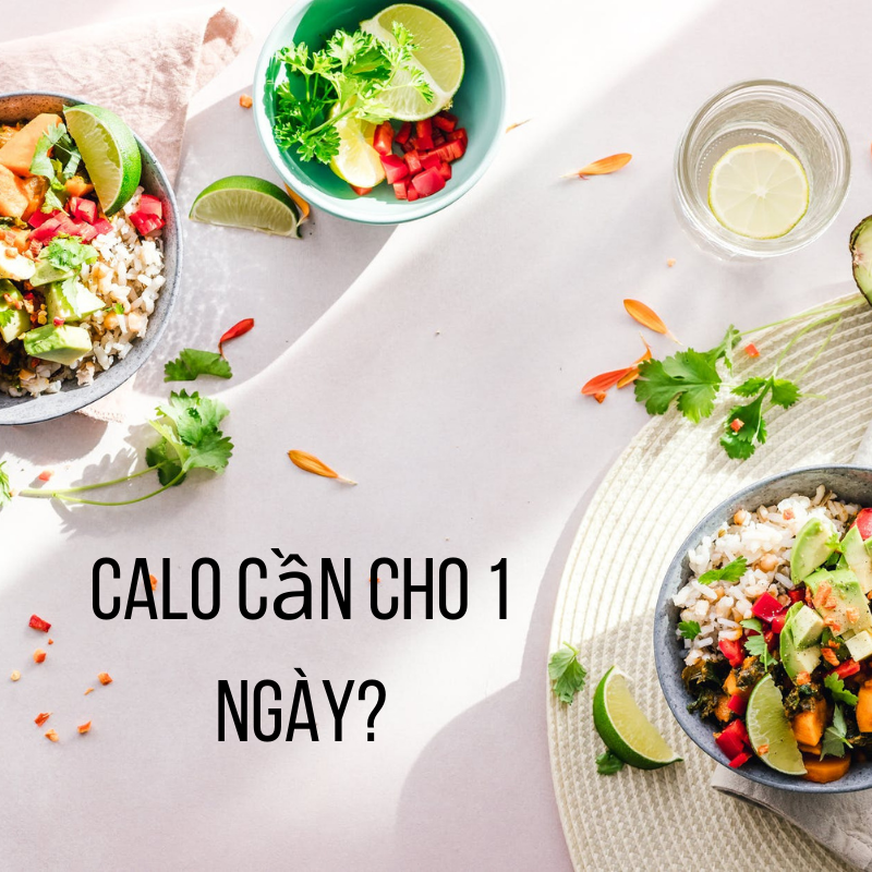 Calo cần cho 1 ngày - chị em cần hiểu rõ để giảm cân lành mạnh