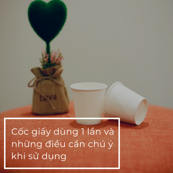 [Cẩn trọng] Cốc giấy dùng 1 lần và những điều cần chú ý khi sử dụng