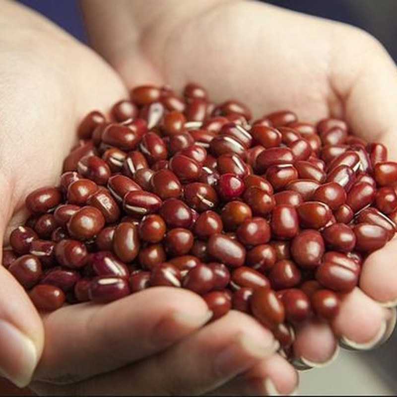 Rang Đậu Đỏ: Món Ngon Bổ Dưỡng Dễ Làm Tại Nhà