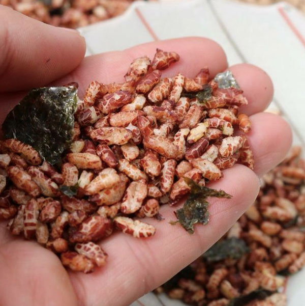 Gạo lứt sấy và những điều cần biết
