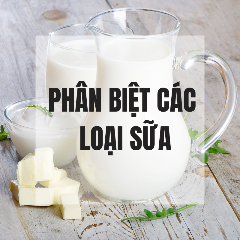 Phân biệt các loại sữa phổ biến trên thị trường hiện nay