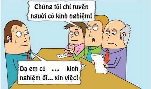 [BeeShare] Trọn bộ kinh nghiệm tìm việc làm cho sinh viên mới ra trường