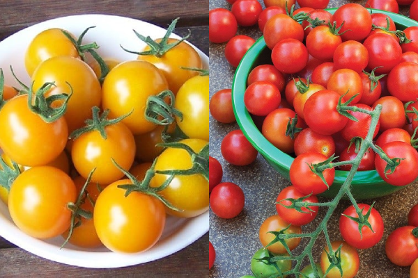 Biến tấu đồ ăn ngon từ cà chua bi - Bạn đã thử bao nhiêu món?