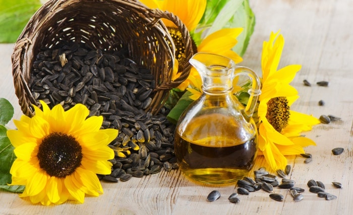 Dầu hướng dương là gì