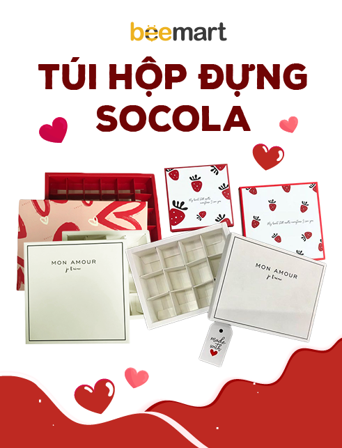 Túi hộp socola