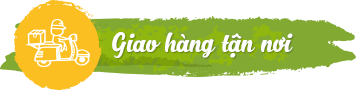 Dịch vụ