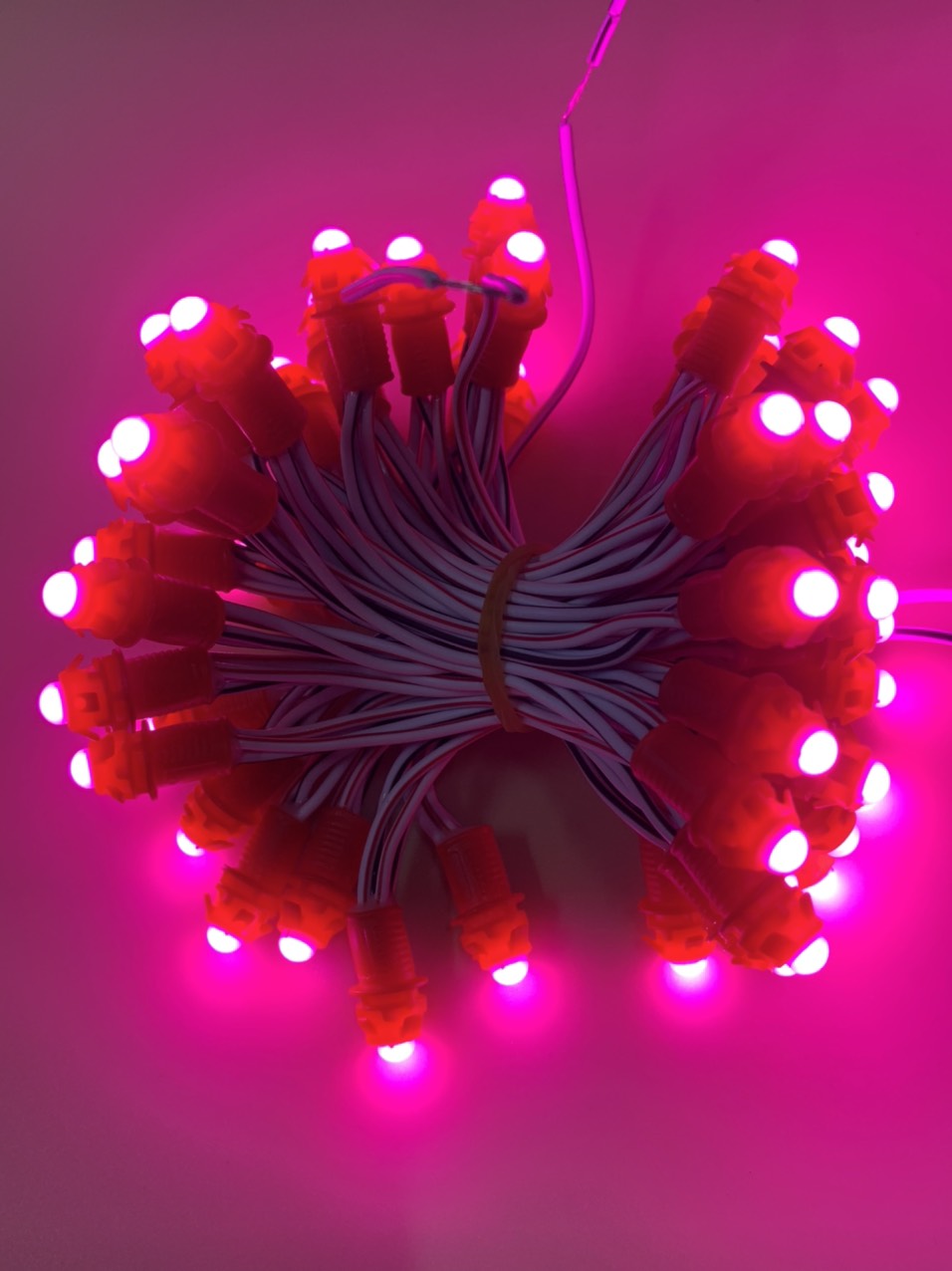 Led đúc F5 12v màu hồng | Led quấn cây | Led trang trí huyhien.vn