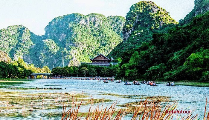 Đường đến động
