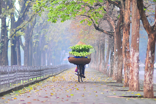 Hà Nội