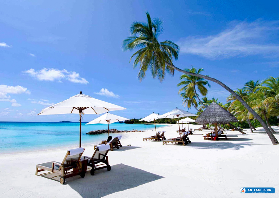 Trọn bộ kinh nghiệm du lịch Bãi Dài Nha Trang chi tiết nhất