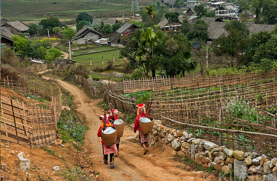 VẺ ĐẸP NGUYÊN SƠ CỦA BẢN SÍN CHẢI SAPA