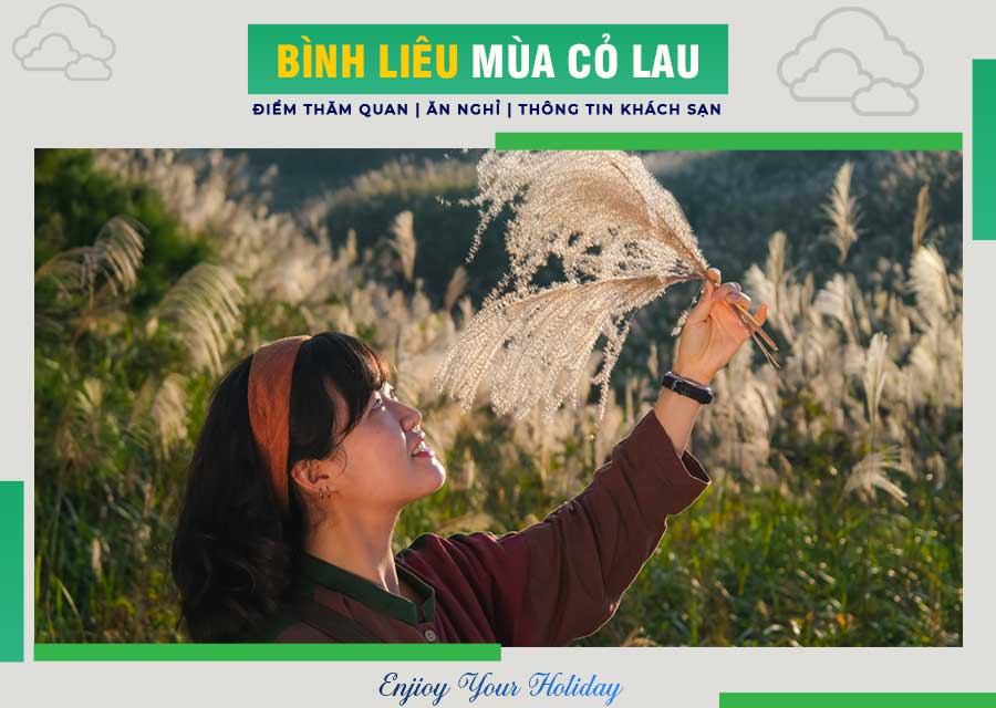 Bình Liêu mùa cỏ lau