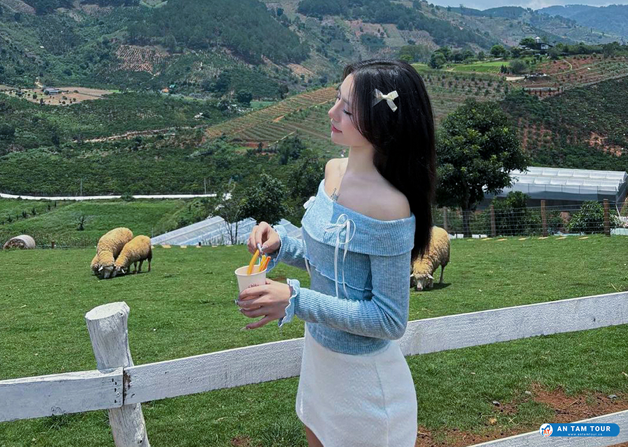 Chika Farm