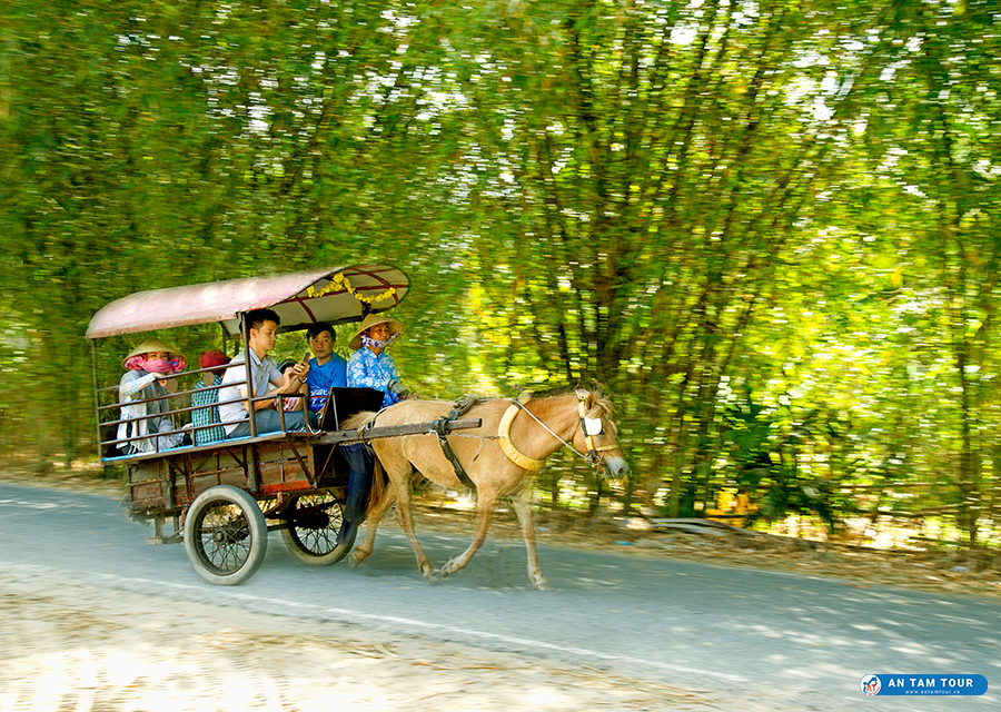 Cù lao Thới Sơn